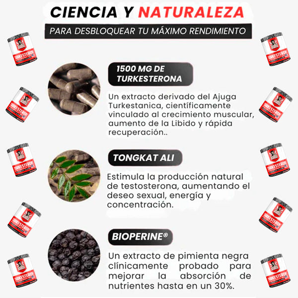 Turkesterone + Tongkat Ali – Potencia Tu Testosterona, Fuerza y Rendimiento Masculino